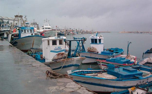 Vista parcial del puerto pesquero de Estepona.