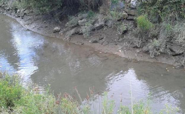 En la cercana Vega habitan multitud de especies de avifauna protegida.