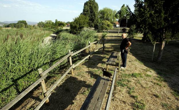 La acción de formación y empleo en jardinería permitirá llevar a cabo la restauración ambiental del Lago de Bayas./ AVELINO GÓMEZ