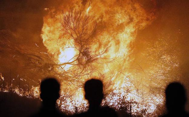 Numerosos brigadistas se han jugado la vida estos días en Galicia para luchar contra los incendios, muchos de ellos causados por pirómanos./EFE