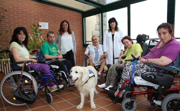 'Baloo' ha estimulado la motivación de estos pacientes. / H. S. J. D.