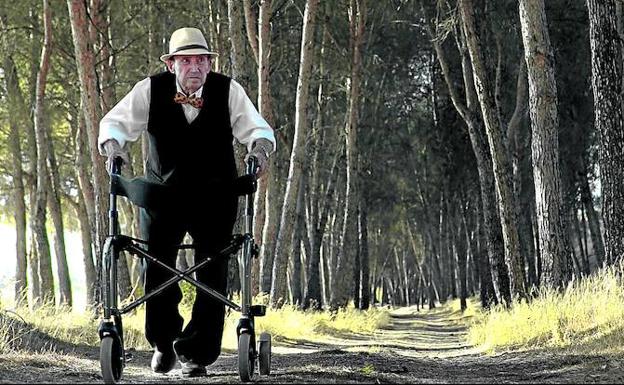 Luis Lafuente pasea por el pinar donde algún día descansará junto a su mujer,Joaquina. /M. LAFUENTE