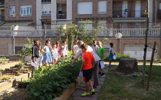 Dispone ya de un huerto y ha pedido una cocina para autogestionar el menú en el comedor. / ZABALARRA
