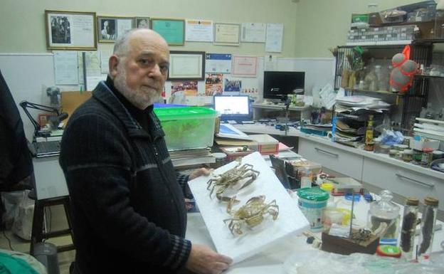 Enrike Huerta muestra unas de las últimas donaciones que ha recibido el Museo de Ciencias Naturales de Mañaria. / N. CAYADO