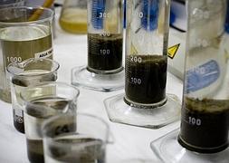 Muestras de agua y fango en el laboratorio de la EDAR de Talavera de la Reina. Óscar Chamorro./