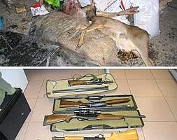 Animales abatidos y armas incautadas./