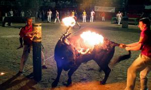 Correbous en San Jaime de Enveija (Tarragaona). /Archivo/