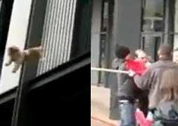 El momento del rescate del can./ elcorreo.tv/