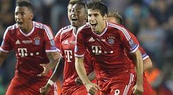 Javi Martínez celebra con sus compañeros el título. /Agencias/