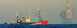 Un pesquero faena en las inmediaciones de la plataforma./ BERNARDO CORRAL/