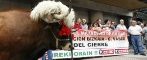 Los afectados por el cierre del matadero de Zorroza protestaron frente a la sede del Gobierno vasco con dos bueyes. :: MITXEL ATRIO/