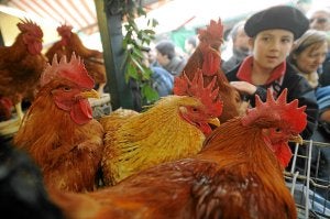 278 puestos darán ambiente a la feria durante la jornada del viernes. /Borja Agudo/