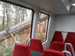 El desplome del árbol sobre la unidad de Feve hizo que sus treinta pasajeros fueran trasladados a otra unidad. /L. Calabor/