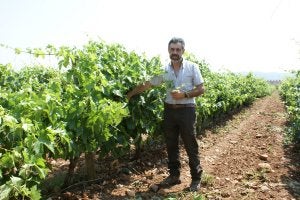 Pedro Martínez, en uno de sus viñedos en la zona de Quel. /F. Domínguez/