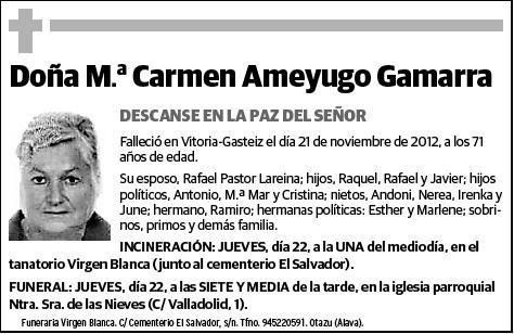 AMEYUGO GAMARRA,Mª CARMEN