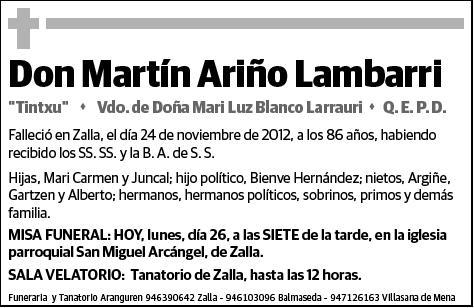 ARIÑO LAMBARRI,MARTIN