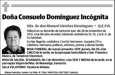 DOMINGUEZ INCOGNITA,CONSUELO