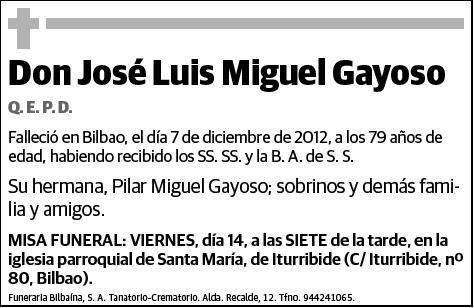 MIGUEL GAYOSO,JOSE LUIS