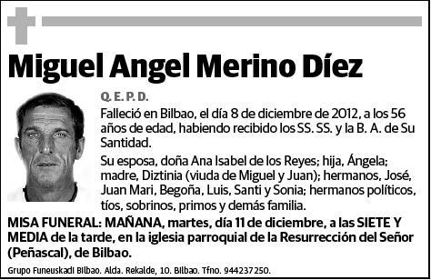 MERINO DIEZ,MIGUEL ANGEL