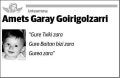 GARAY GOIRIGOLZARRI,AMETS