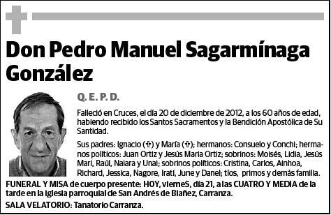 SAGARMINAGA GONZALEZ,PEDRO MANUEL