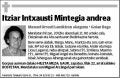 INTXAUSTI MINTEGIA,ITZIAR