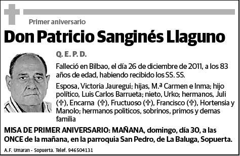 SANGINES LLAGUNO,PATRICIO