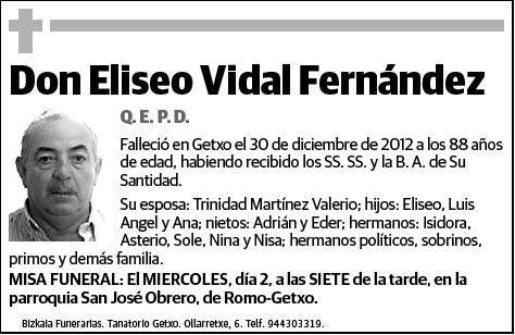 VIDAL FERNANDEZ,ELISEO