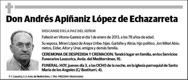 APIÑANIZ LOPEZ DE ECHAZARRETA,ANDRES