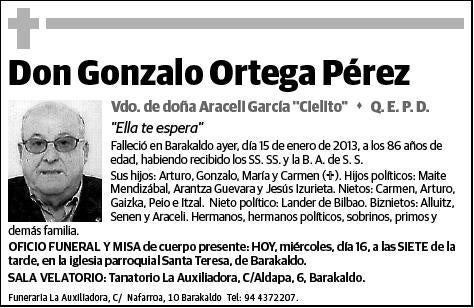 ORTEGA PEREZ,GONZALO