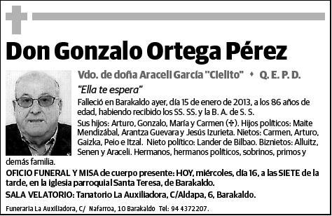 ORTEGA PEREZ,GONZALO