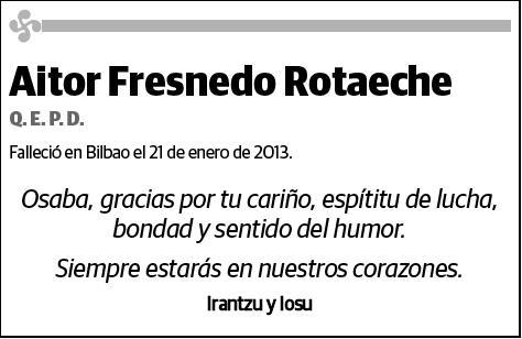 FRESNEDO ROTAECHE,AITOR