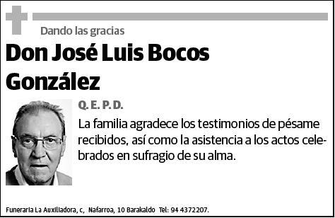 BOCOS GONZALEZ,JOSE LUIS