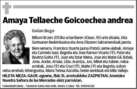 TELLAECHE GOICOECHEA,AMAYA