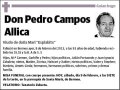 CAMPOS ALLICA,PEDRO