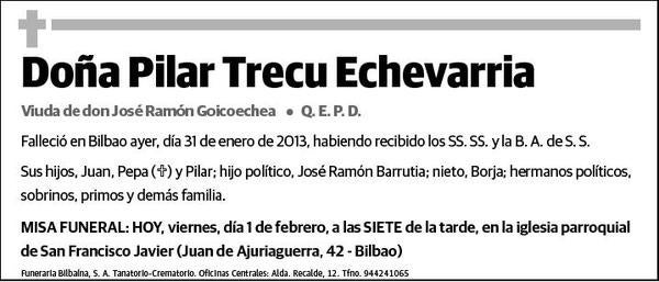 TRECU ECHEVARRIA,PILAR