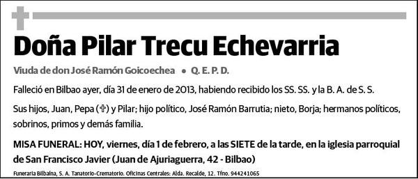 TRECU ECHEVARRIA,PILAR