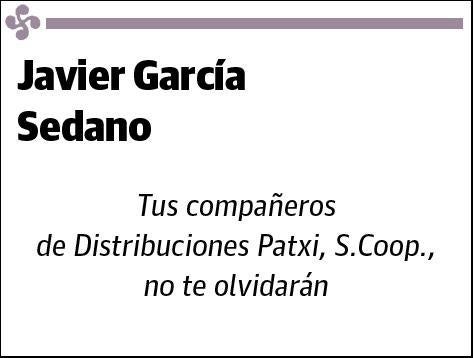 GARCIA SEDANO,JAVIER