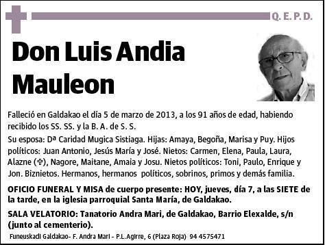 ANDIA MAULEON,LUIS