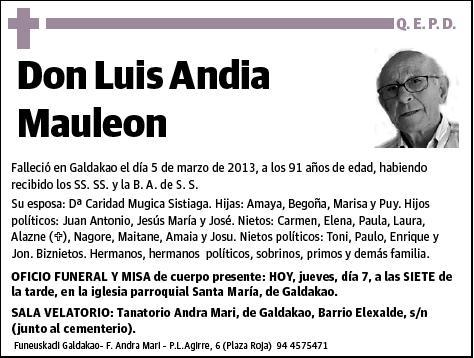 ANDIA MAULEON,LUIS