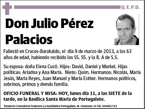 PEREZ PALACIOS,JULIO