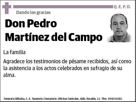 MARTINEZ DEL CAMPO,PEDRO