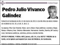 VIVANCO GALINDEZ,PEDRO JULIO