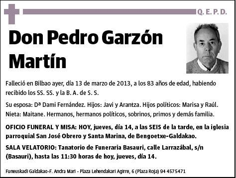 GARZON MARTIN,PEDRO