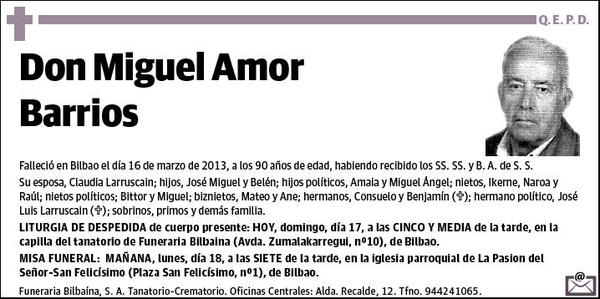 AMOR BARRIOS,MIGUEL