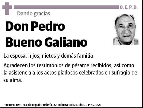 BUENO GALIANO,PEDRO