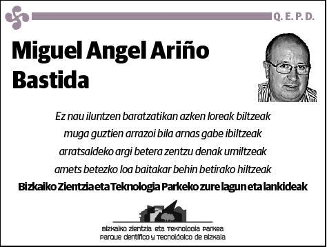 ARIÑO BASTIDA,MIGUEL ANGEL