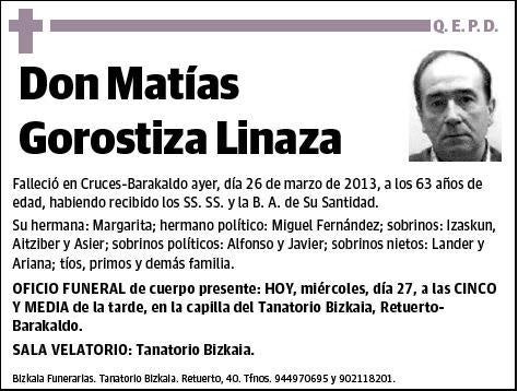 GOROSTIZA LINAZA,MATIAS