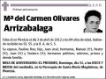 OLIVARES ARRIZABALAGA,MARIA DEL CARMEN
