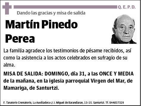 PINEDO PEREA,MARTIN